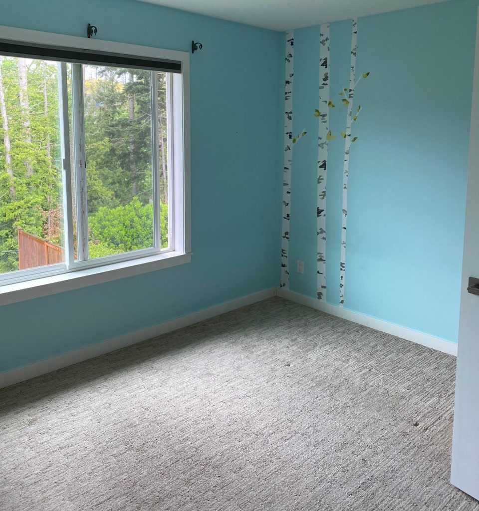 Room for the twin before